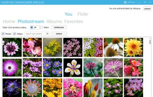 Display your photostream.