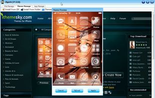 Manage Winterboard themes