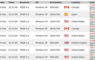 Statcounter screenshot 2