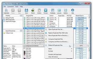 The DupScout main GUI application provides the user with the ability to detect duplicate files, review detected duplicates, export reports to the HTML, text and Excel CSV formats, select duplicates that should be removed and execute numerous types of duplicate files removal actions.