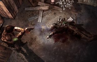 Afterfall InSanity screenshot 2