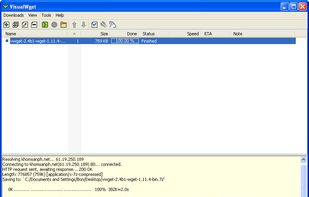 VisualWget screenshot 1