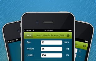 BMR BMI Rechner screenshot 2