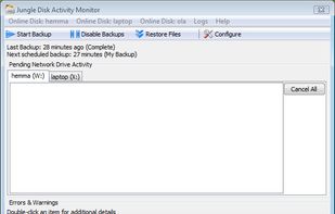 Jungle Disk screenshot 1