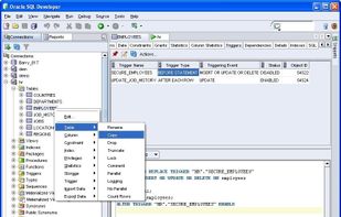 SQL Developer on Windows