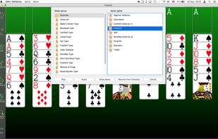 250+ Solitaires screenshot 1