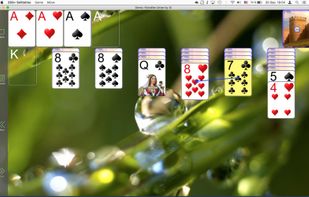 250+ Solitaires screenshot 1