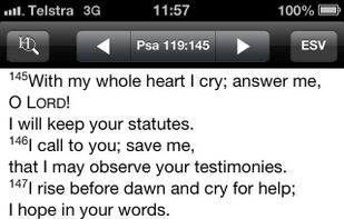 PocketSword screenshot 1