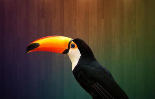 Toucan Tasks screenshot 1