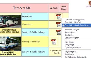 Google Docs Viewer (Firefox add-on) screenshot 1