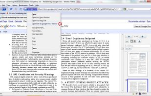 Google Docs Viewer (Firefox add-on) screenshot 2