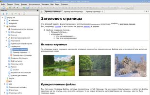 OutWiker screenshot 1