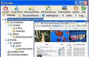 Gbridge screenshot 1