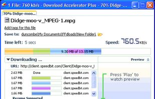 Download Accelerator Plus screenshot 1