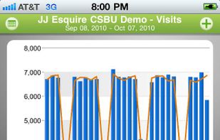 SiteCatalyst screenshot 1