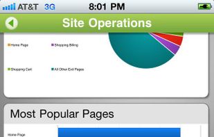 SiteCatalyst screenshot 1