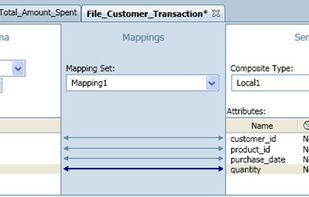 expressor Studio Schema Editor