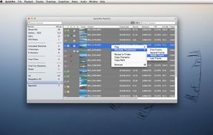 Quickfire Video Player screenshot 1