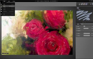 BlackInk User Interface