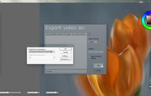 Export drawing process into an .avi video