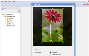 Composite C1 CMS screenshot 2