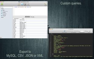 SQLite Professional Read-Only screenshot 2