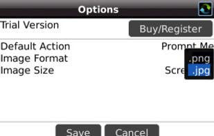 Options: Save as PNG or JPG