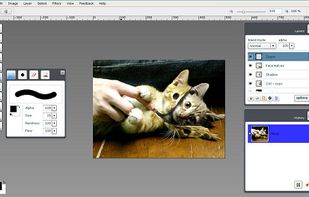 Phoenix Image Editor screenshot 1