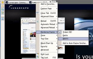 Lunascape screenshot 2