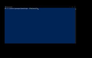 Start 2faConsole from command line. Above screenshot is about to start 2faConsole in Powershell.