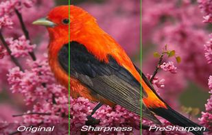 HQ Photo Enlarger screenshot 3