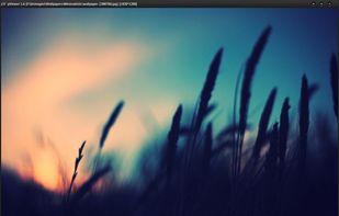 pViewer screenshot 3