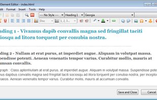Text element editor