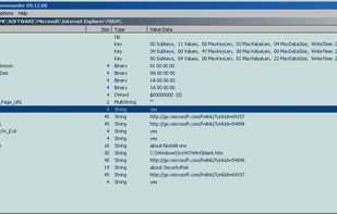 Registry Commander screenshot 1