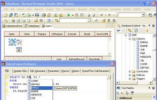 Oracle Data Access Components screenshot 1