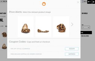 PoachIt's Chrome Extension in action, allowing you to track products and view valid coupon codes