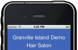 Mobile booking site for clients