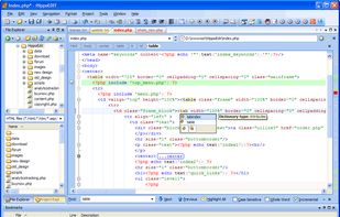 HippoEDIT screenshot 1