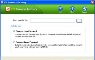 PDF Password Recovery screenshot 1