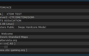 333networks MasterServer screenshot 2