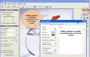 TNT Screen Capture screenshot 2