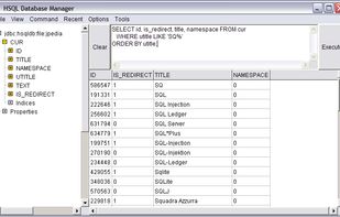HSQLDB screenshot 1