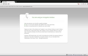 Private Browsing Window