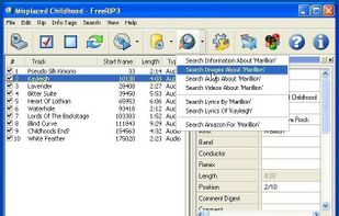 FreeRIP Integrated Search Window