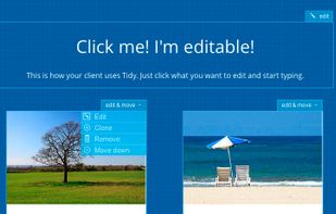 Closeup of editable area and content block.