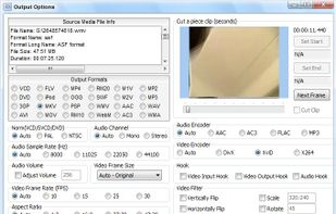 The Output Option Window