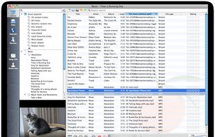 Smart playlists and kittens