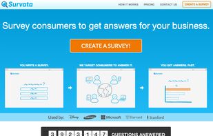 Survey consumers to get answers for your business.