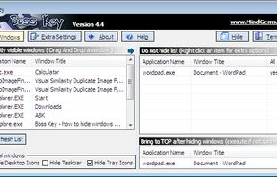 Boss Key screenshot 1