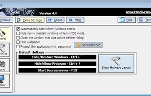 Boss Key screenshot 2